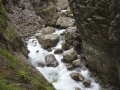 _DSC0029