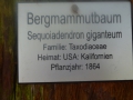 Insel Mainau 034