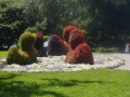 Insel Mainau 040