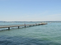 Insel Mainau 067