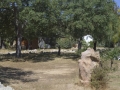 Sardinien0029