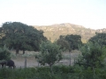 Sardinien0044