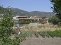 Sardinien0067